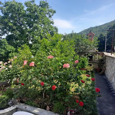 Apartman Branka